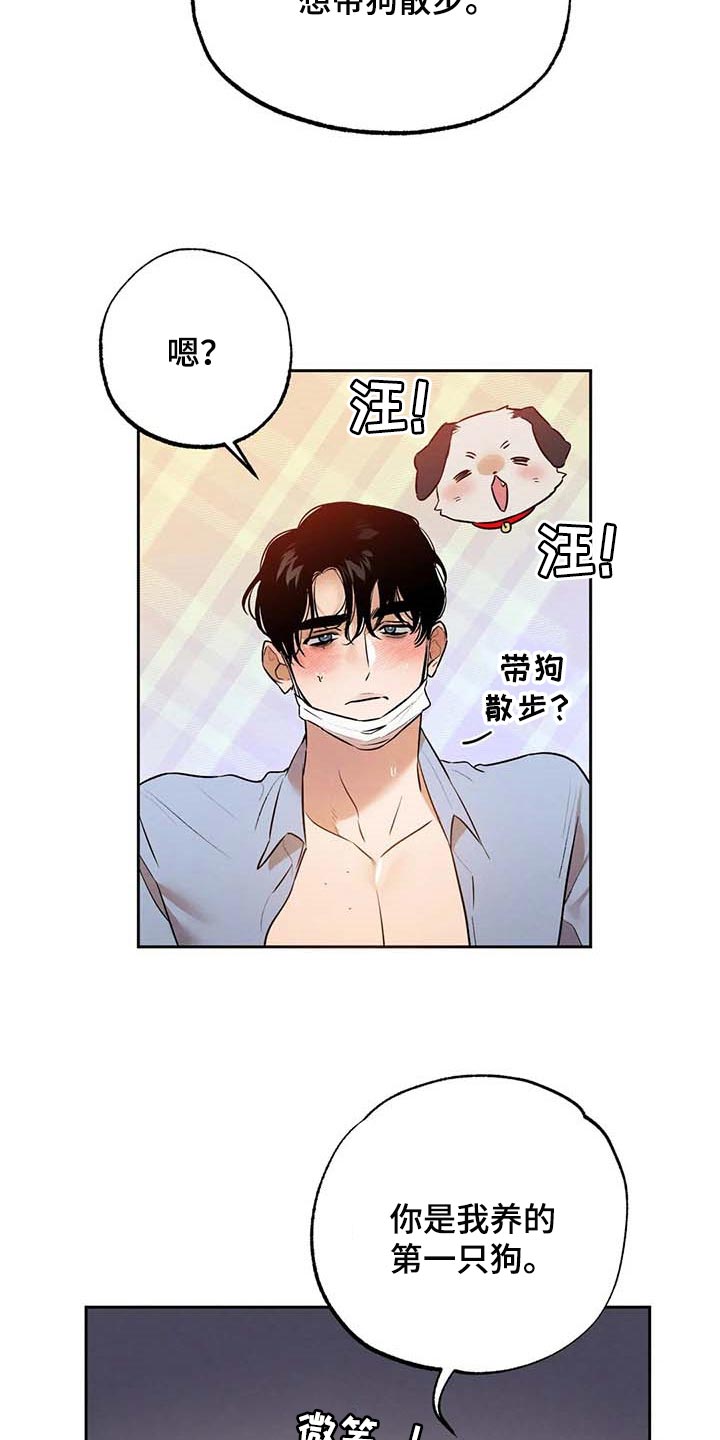 《意外之喜》第50章散步 第6页