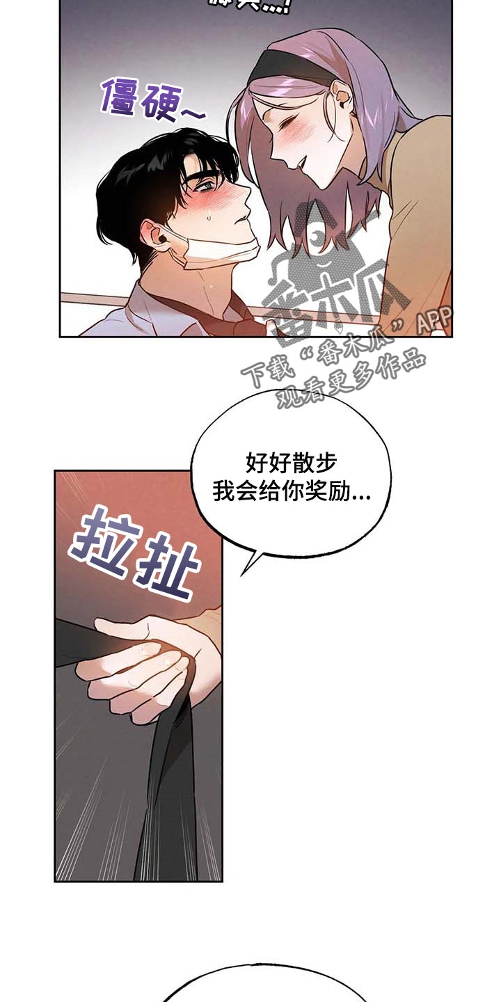 《意外之喜》第50章散步 第7页