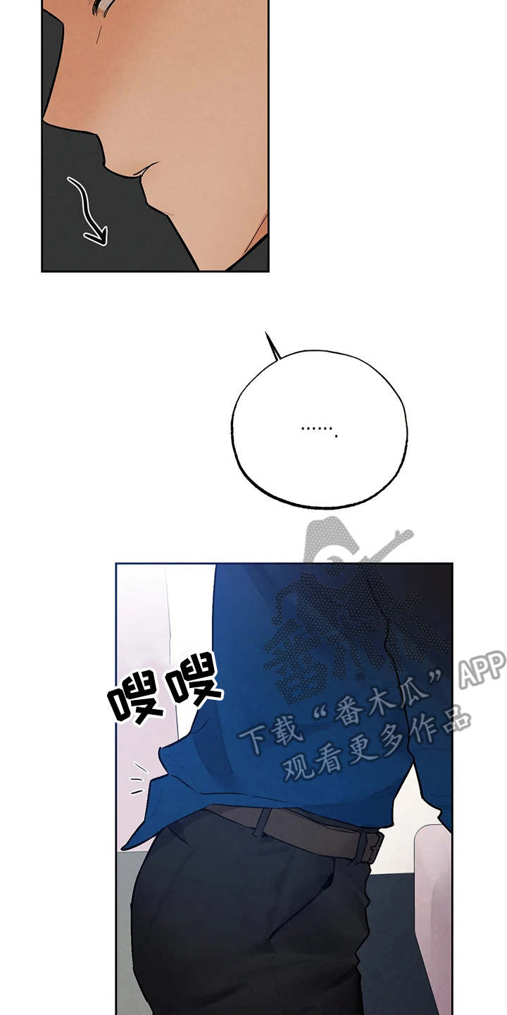 《意外之喜》第23章争锋相对 第17页