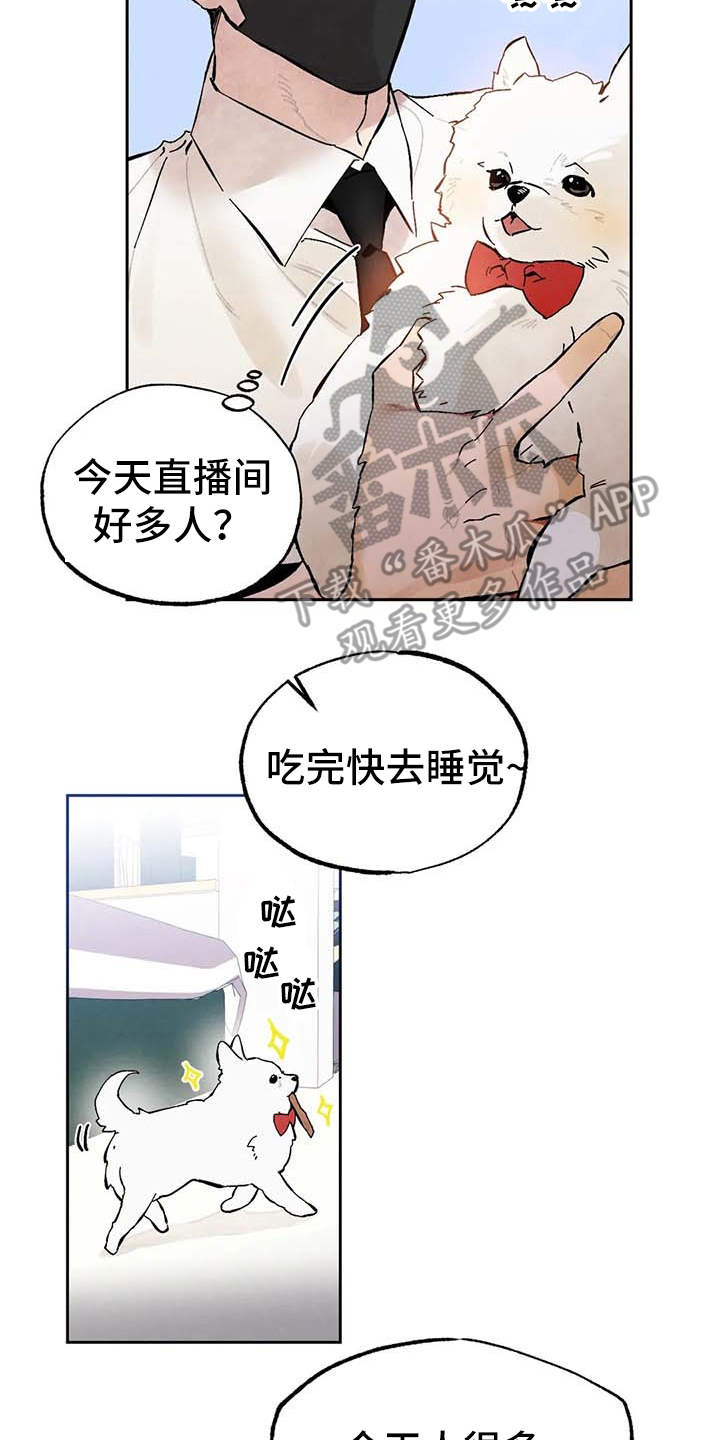 《意外之喜》第26章直播 第19页