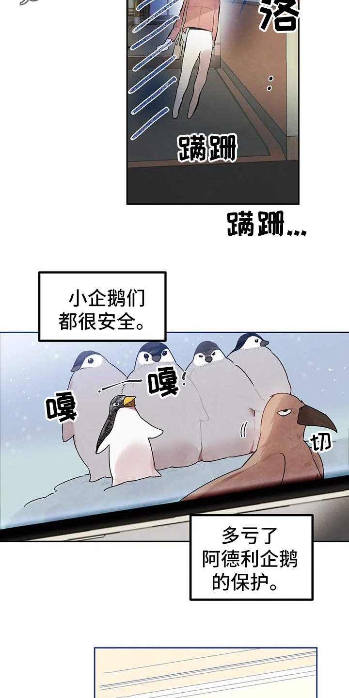 《意外之喜》第26章直播 第9页