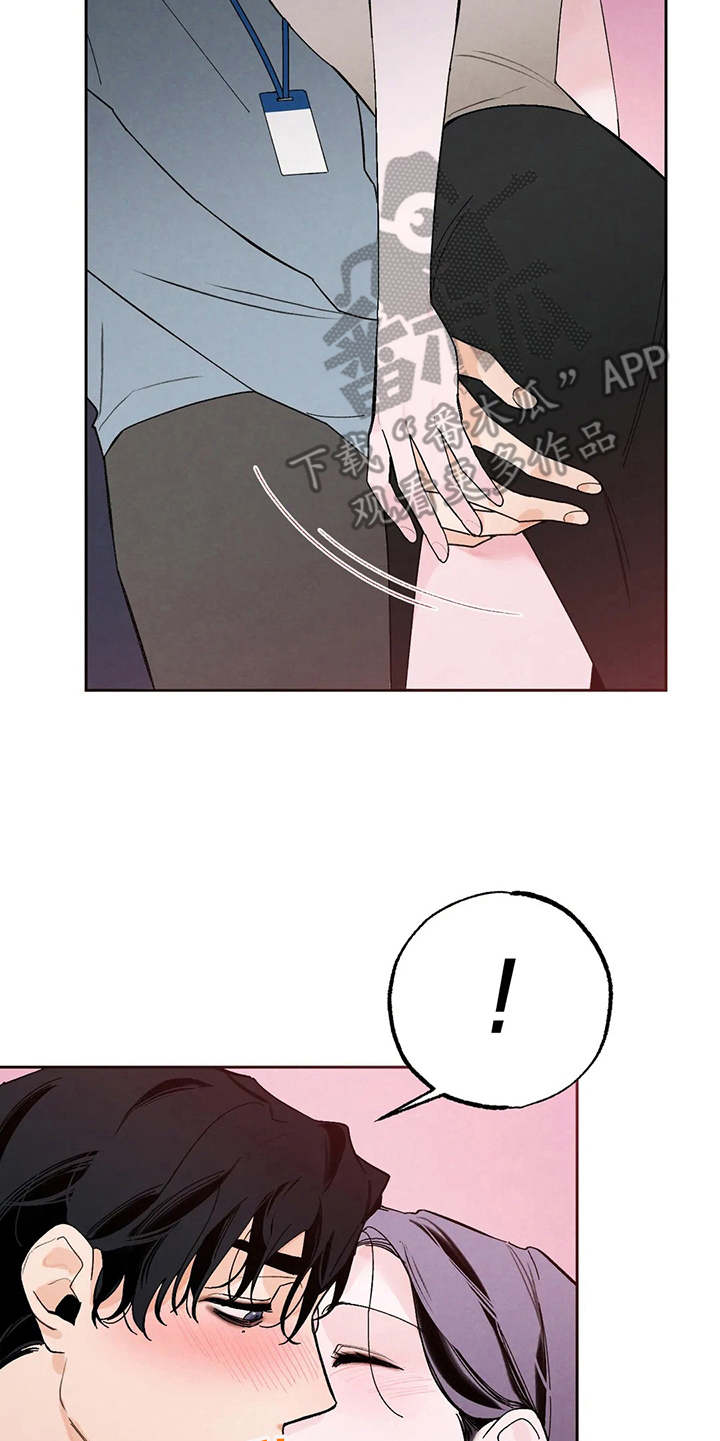 《意外之喜》第18章不能输 第17页