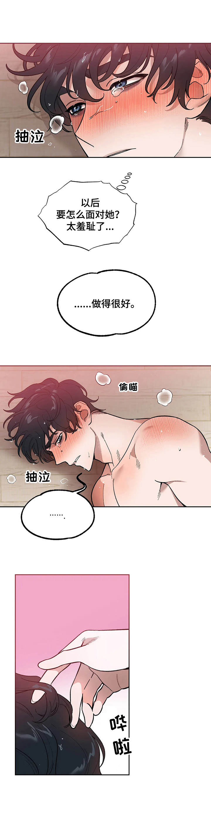 《意外之喜》第6章羞耻 第10页