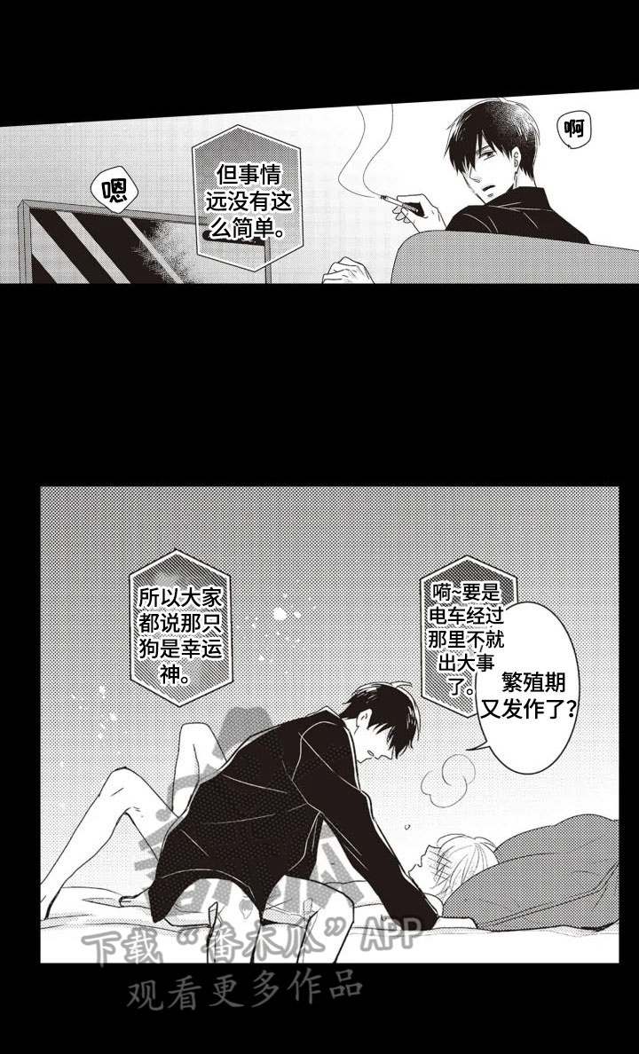 《被拯救的我》第4章安排 第3页
