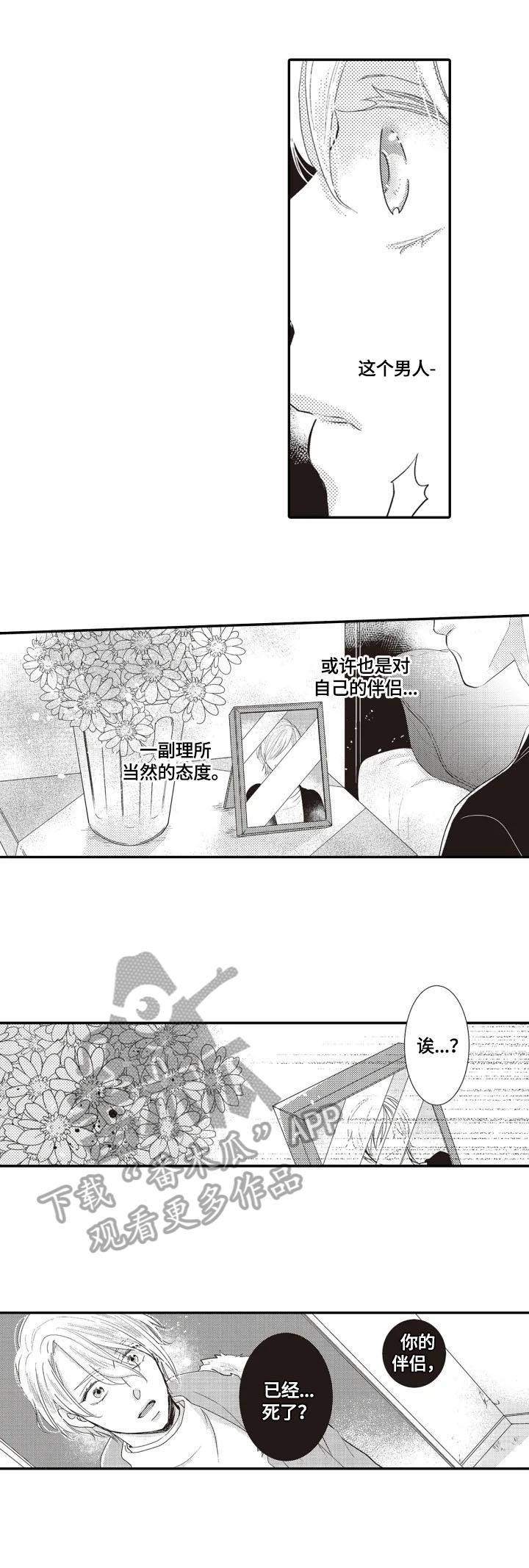 《被拯救的我》第5章印象 第5页