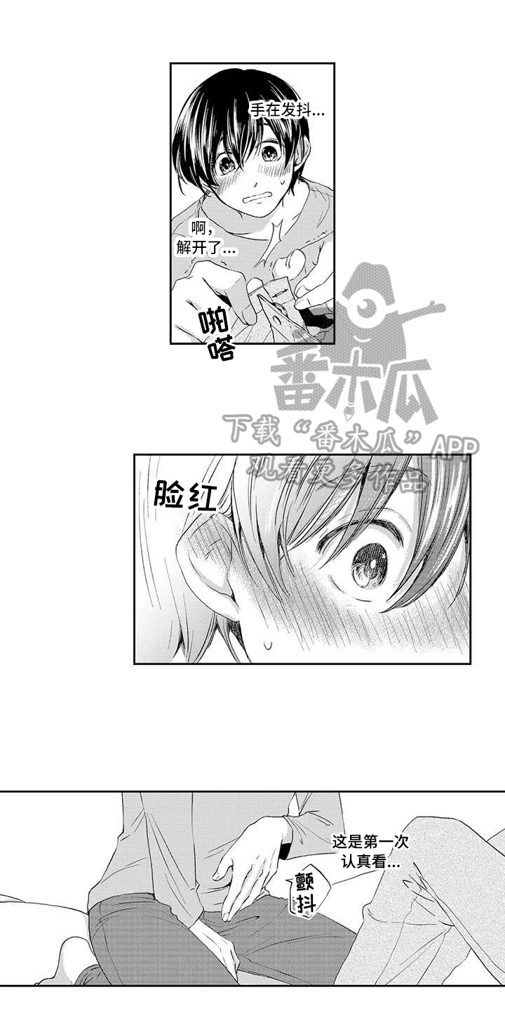 《可爱百分百》第21章最喜欢你【完结】 第4页