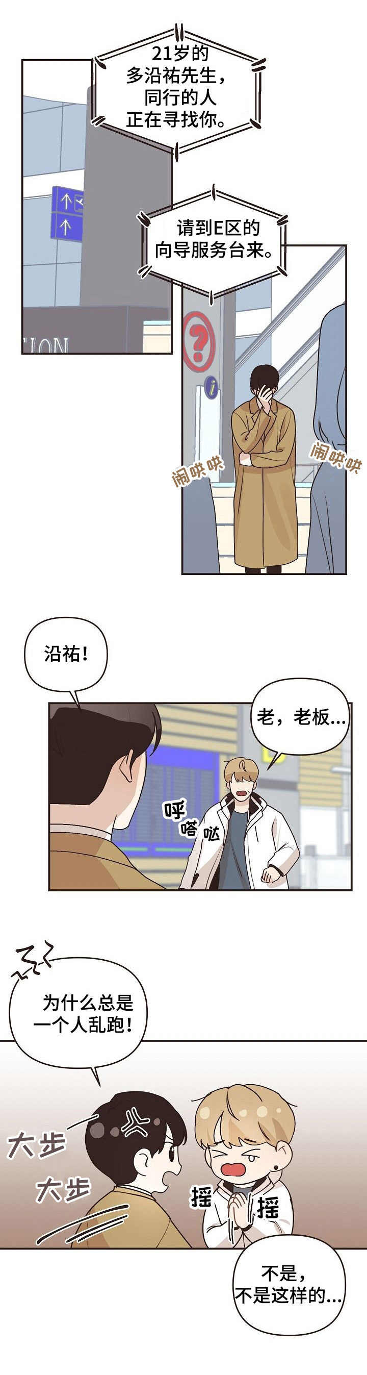 《往日之花》第47章机场 第10页