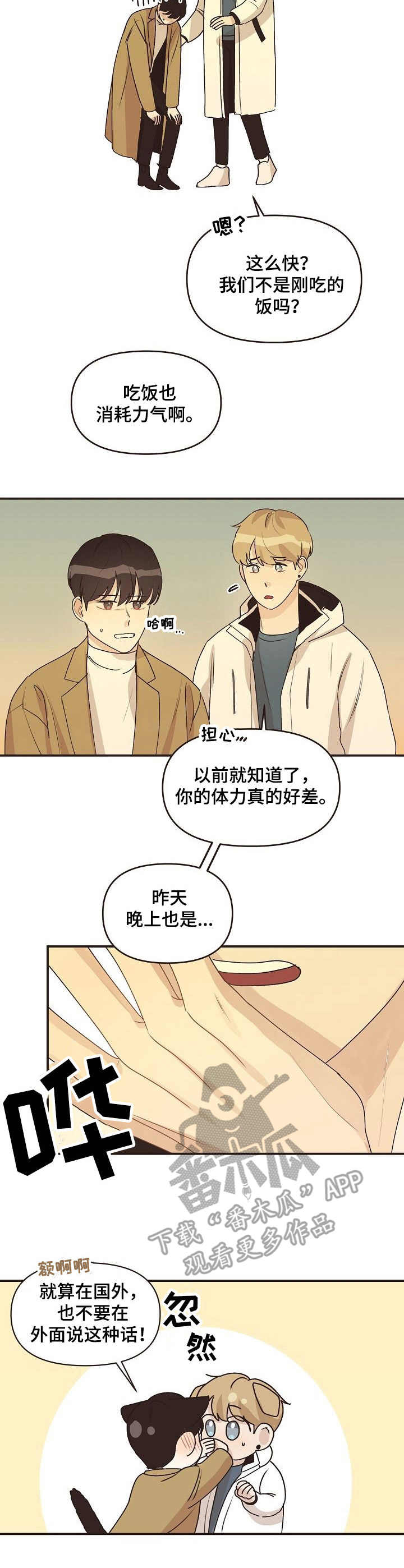 《往日之花》第48章旅游（完结） 第5页