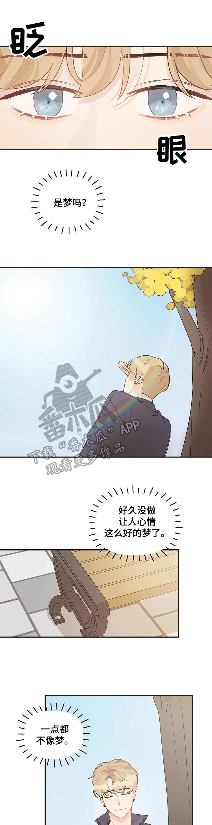 《往日之花》第41章迷茫 第9页