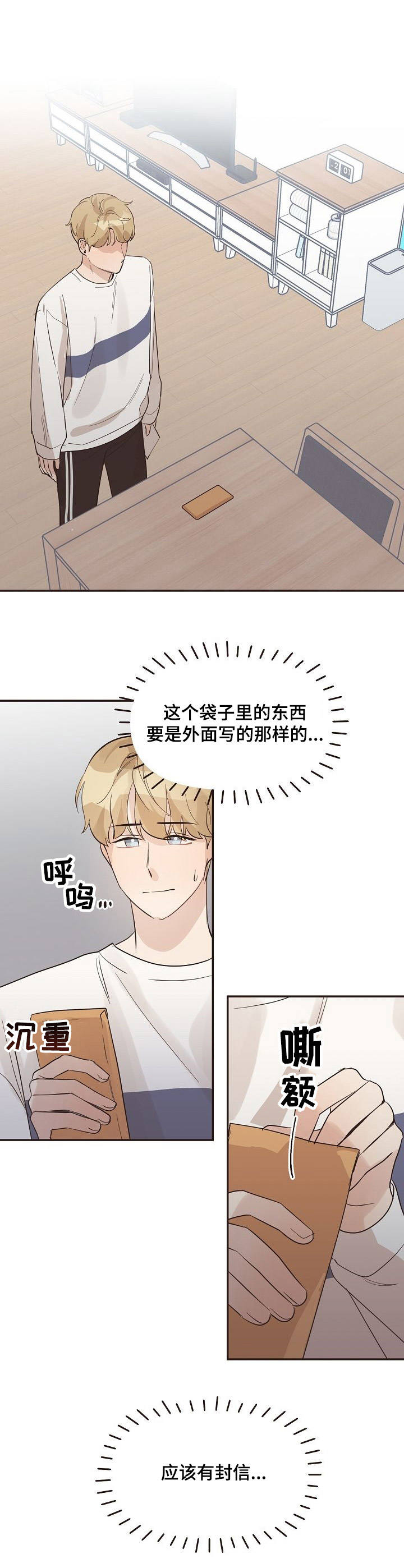 《往日之花》第34章信封 第4页