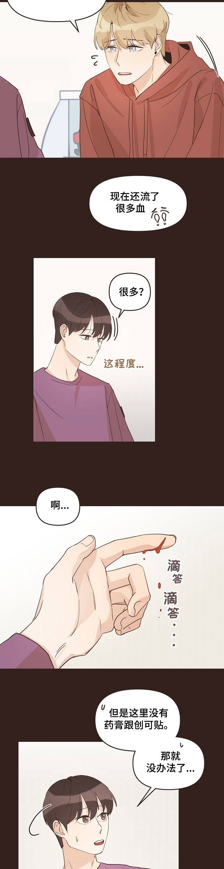 《往日之花》第21章小伤口 第4页
