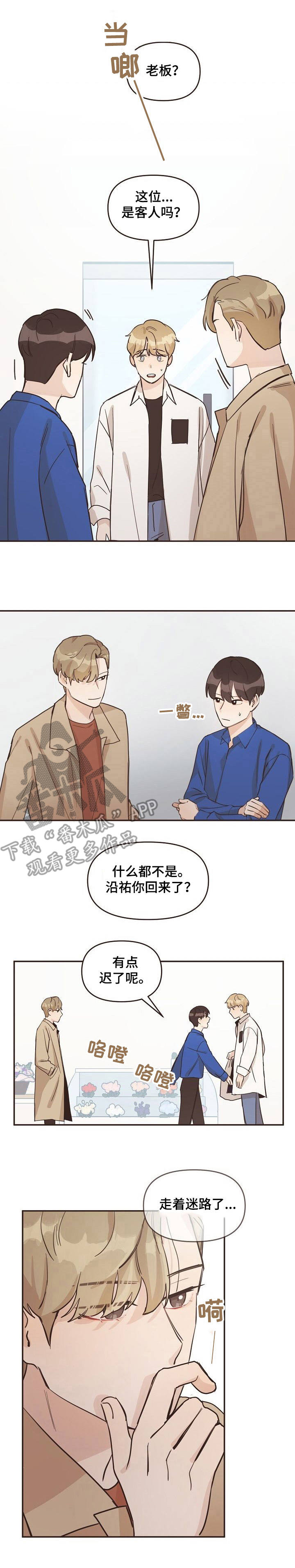 《往日之花》第10章 不速之客 第11页