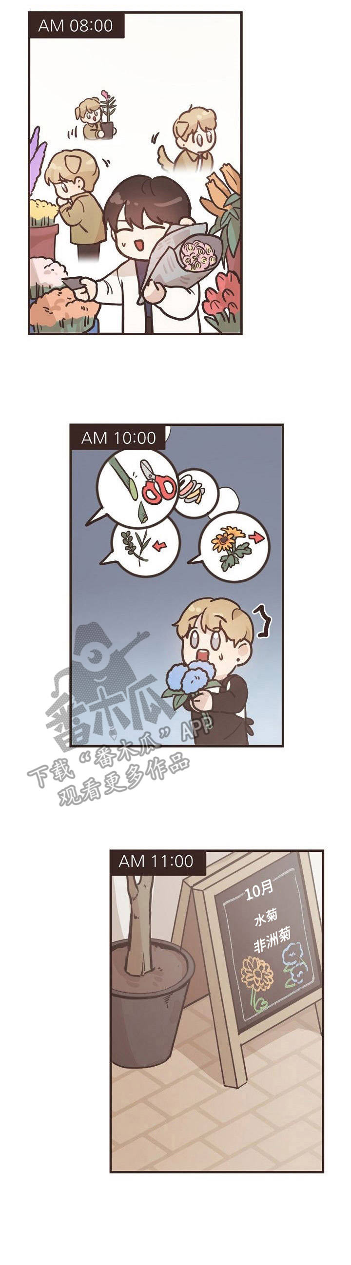 《往日之花》第2章憔悴 第9页