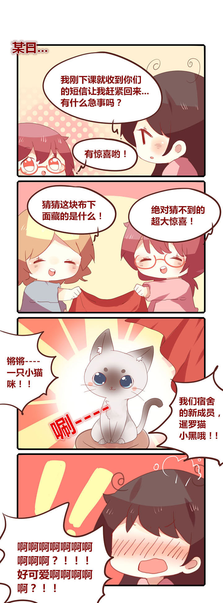 《你听说过女子大学生吗？》第155章小黑大人降临！ 第1页