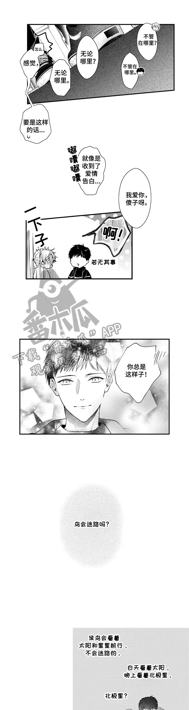 《不会再见》第30章生日 第1页
