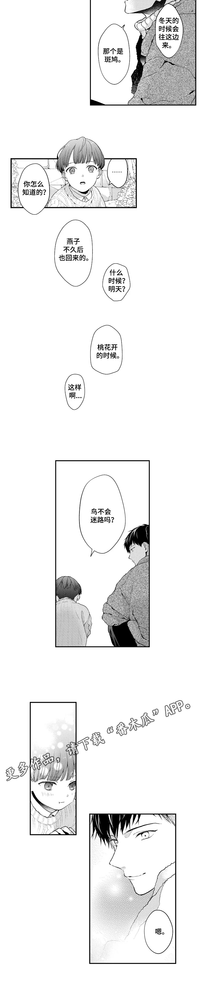 《不会再见》第27章归巢之鸟 第8页