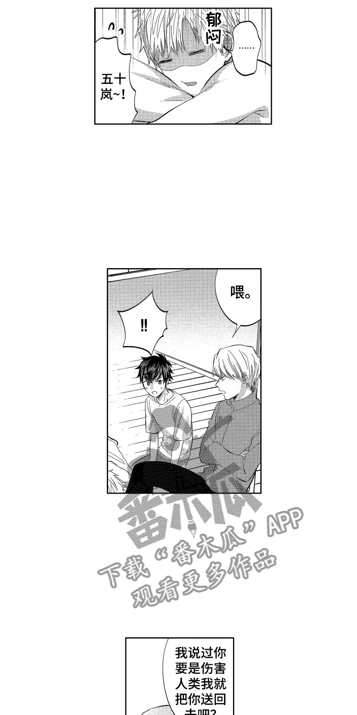 《梦魔初入人间》第17章没有你不行 第8页