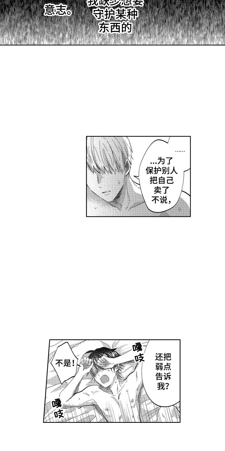 《梦魔初入人间》第21章想守护的 第13页