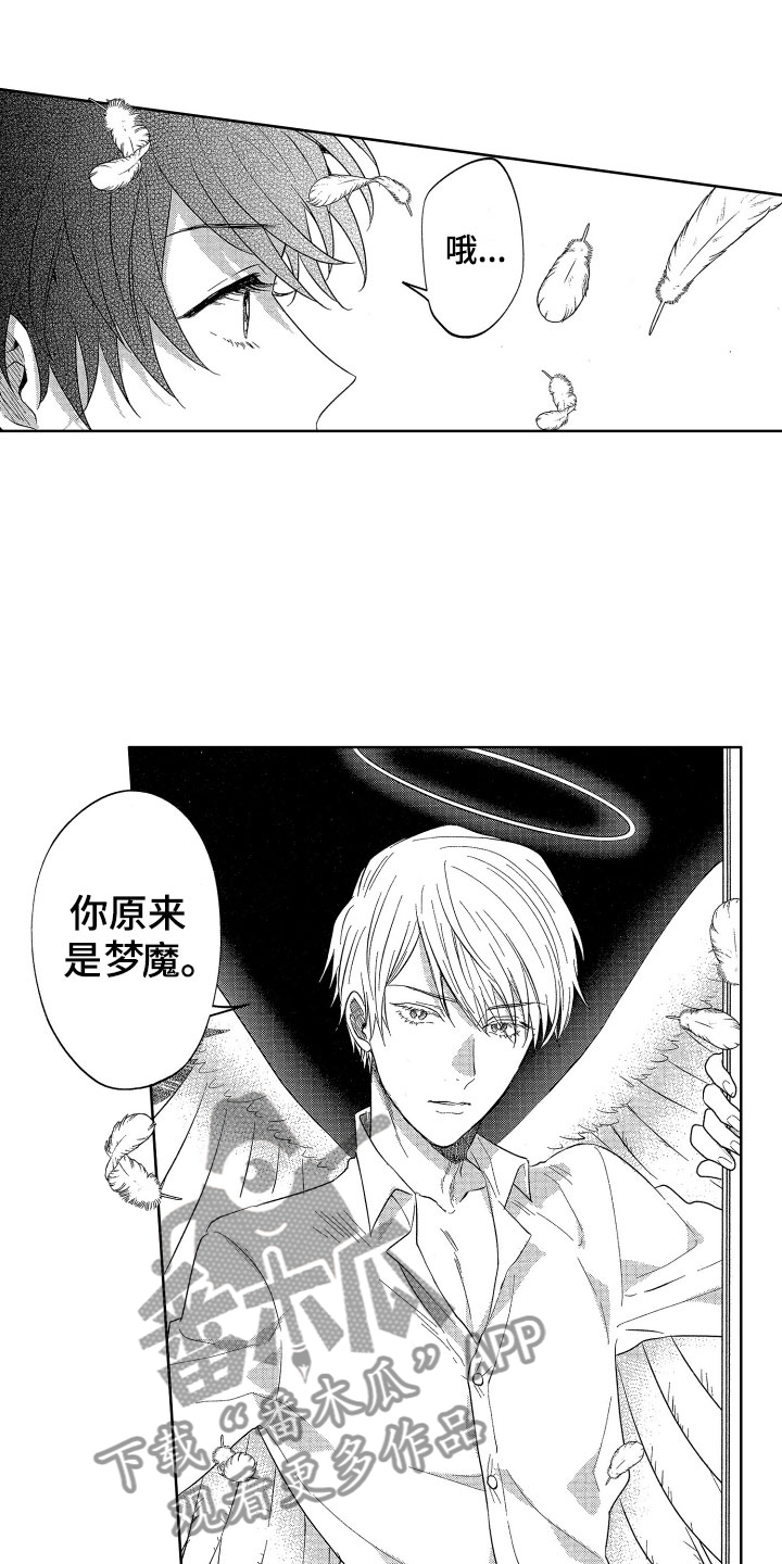 《梦魔初入人间》第12章突降天使 第14页