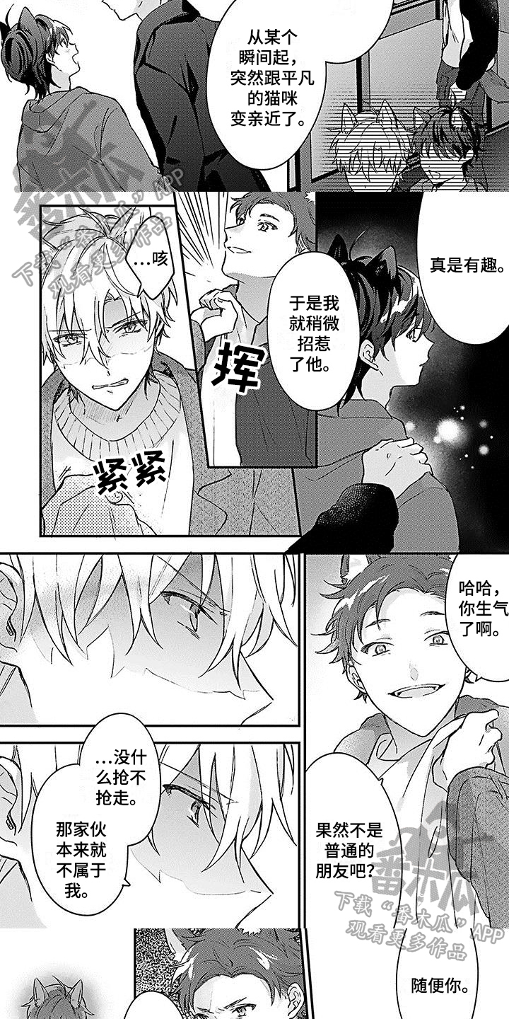 《猫会梦见王子吗》第17章弱小 第3页