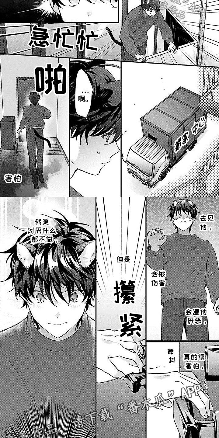 《猫会梦见王子吗》第18章担忧 第6页