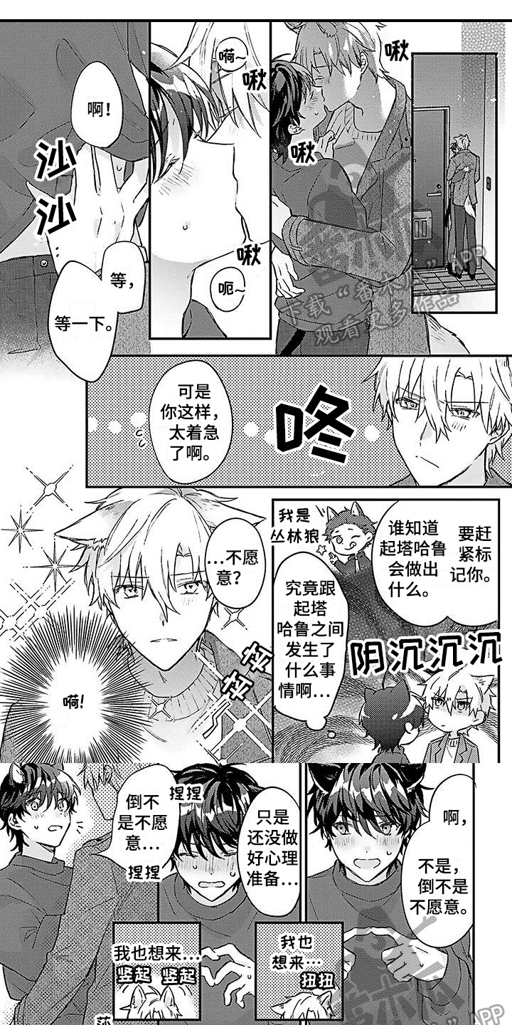 《猫会梦见王子吗》第20章幸福觉悟【完结】 第1页