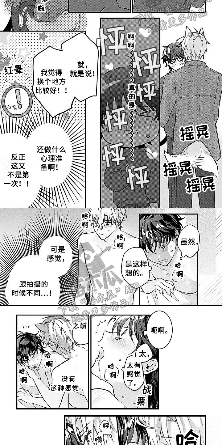 《猫会梦见王子吗》第20章幸福觉悟【完结】 第2页