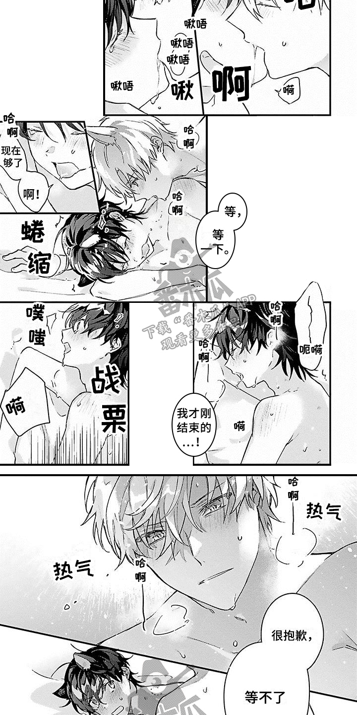 《猫会梦见王子吗》第20章幸福觉悟【完结】 第3页