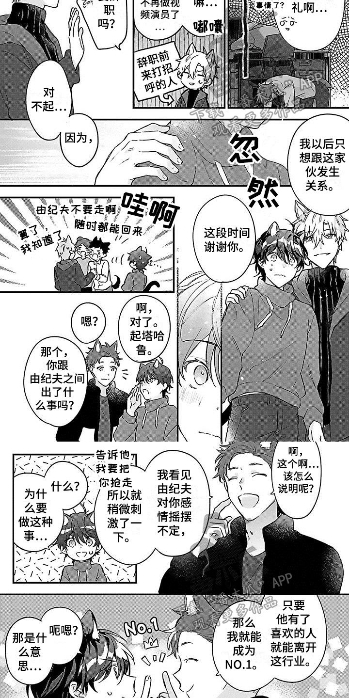 《猫会梦见王子吗》第20章幸福觉悟【完结】 第5页