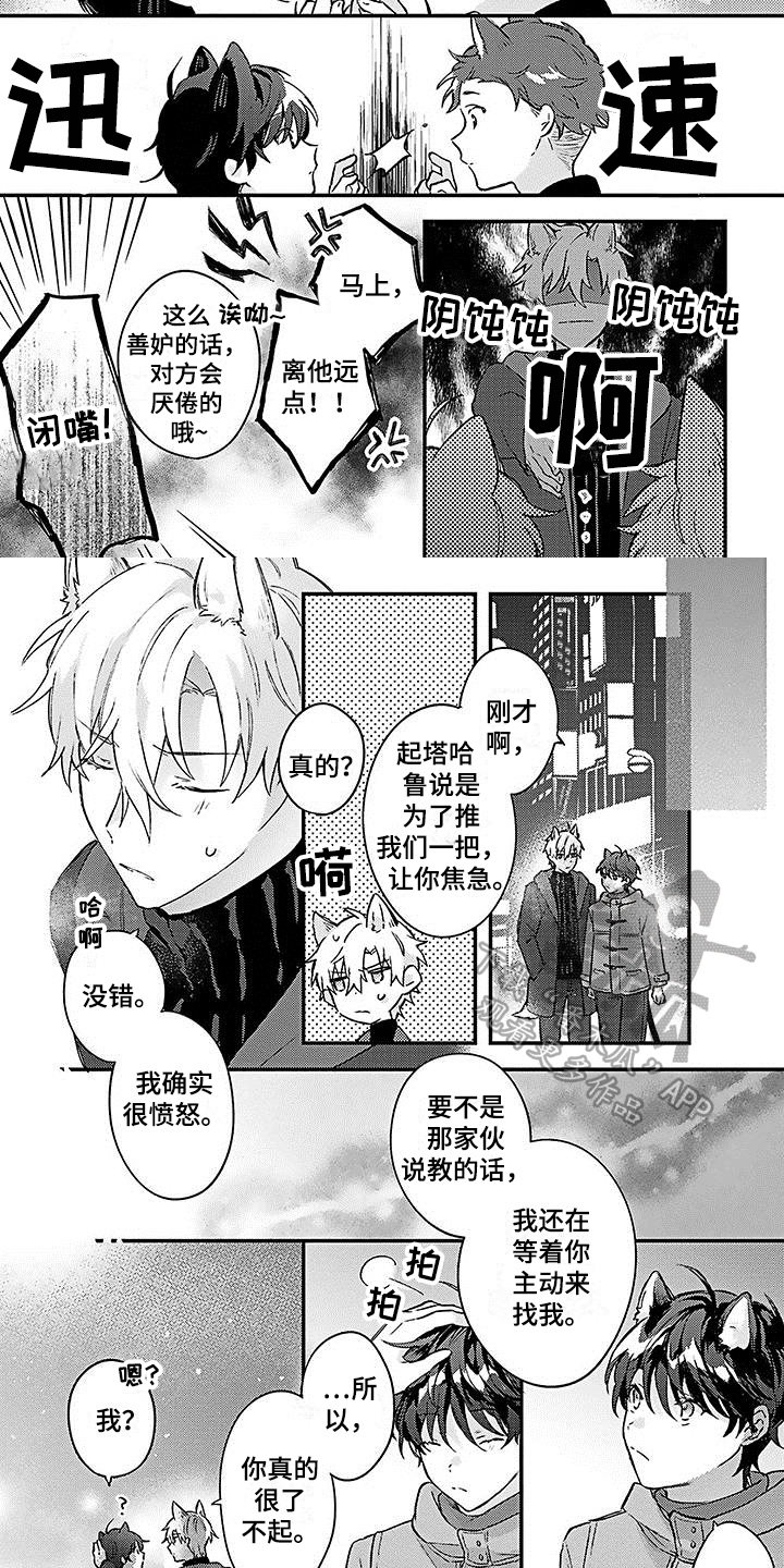 《猫会梦见王子吗》第20章幸福觉悟【完结】 第6页