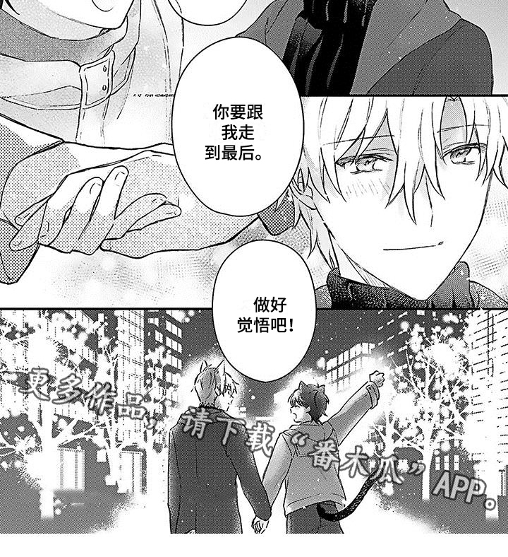 《猫会梦见王子吗》第20章幸福觉悟【完结】 第8页