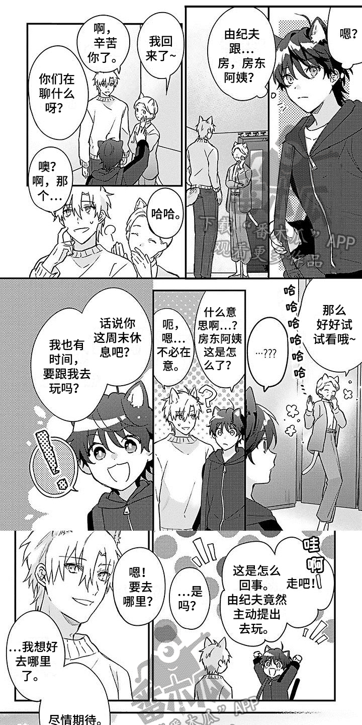 《猫会梦见王子吗》第21章【番外】惊喜 第1页