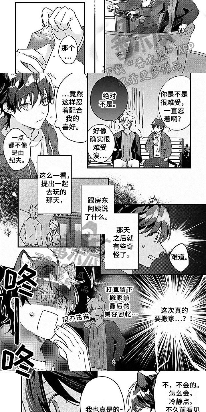 《猫会梦见王子吗》第21章【番外】惊喜 第3页
