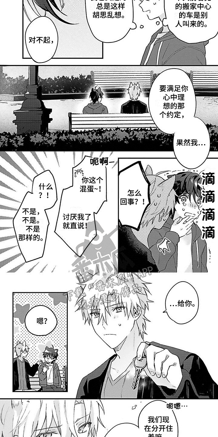 《猫会梦见王子吗》第21章【番外】惊喜 第4页