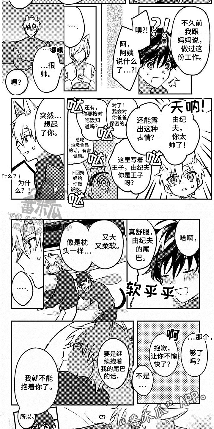 《猫会梦见王子吗》第21章【番外】惊喜 第7页