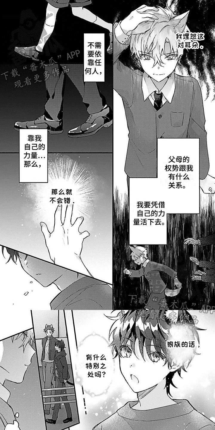 《猫会梦见王子吗》第14章误会 第1页