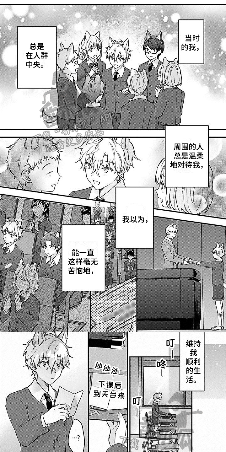 《猫会梦见王子吗》第13章想法 第1页