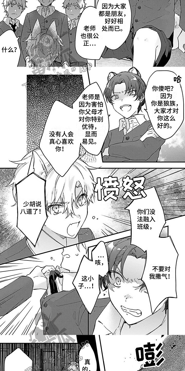 《猫会梦见王子吗》第13章想法 第3页