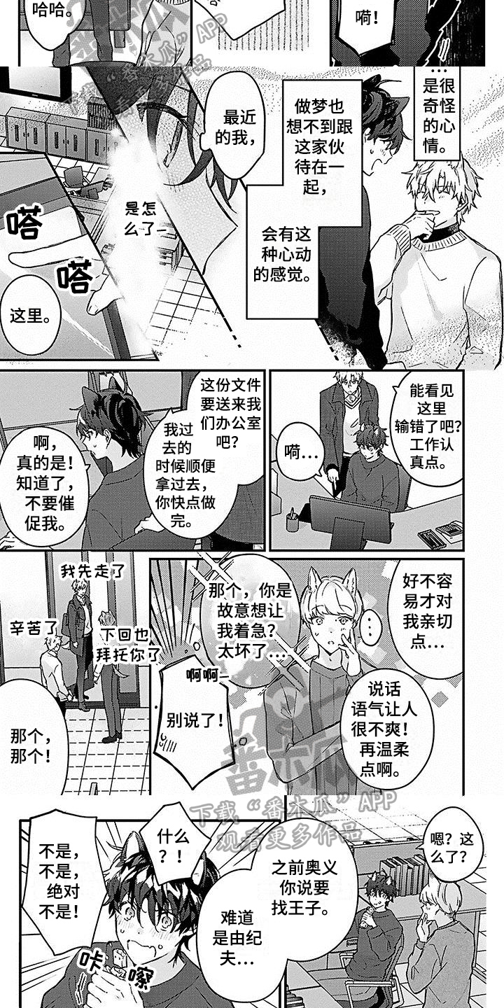 《猫会梦见王子吗》第12章新演员 第2页
