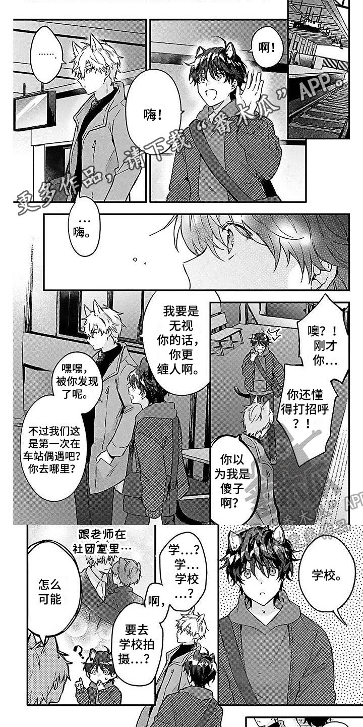 《猫会梦见王子吗》第10章照顾 第1页