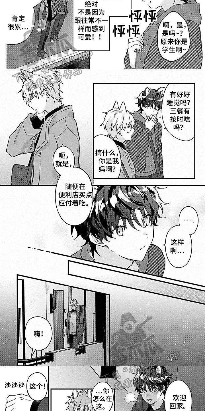 《猫会梦见王子吗》第10章照顾 第3页