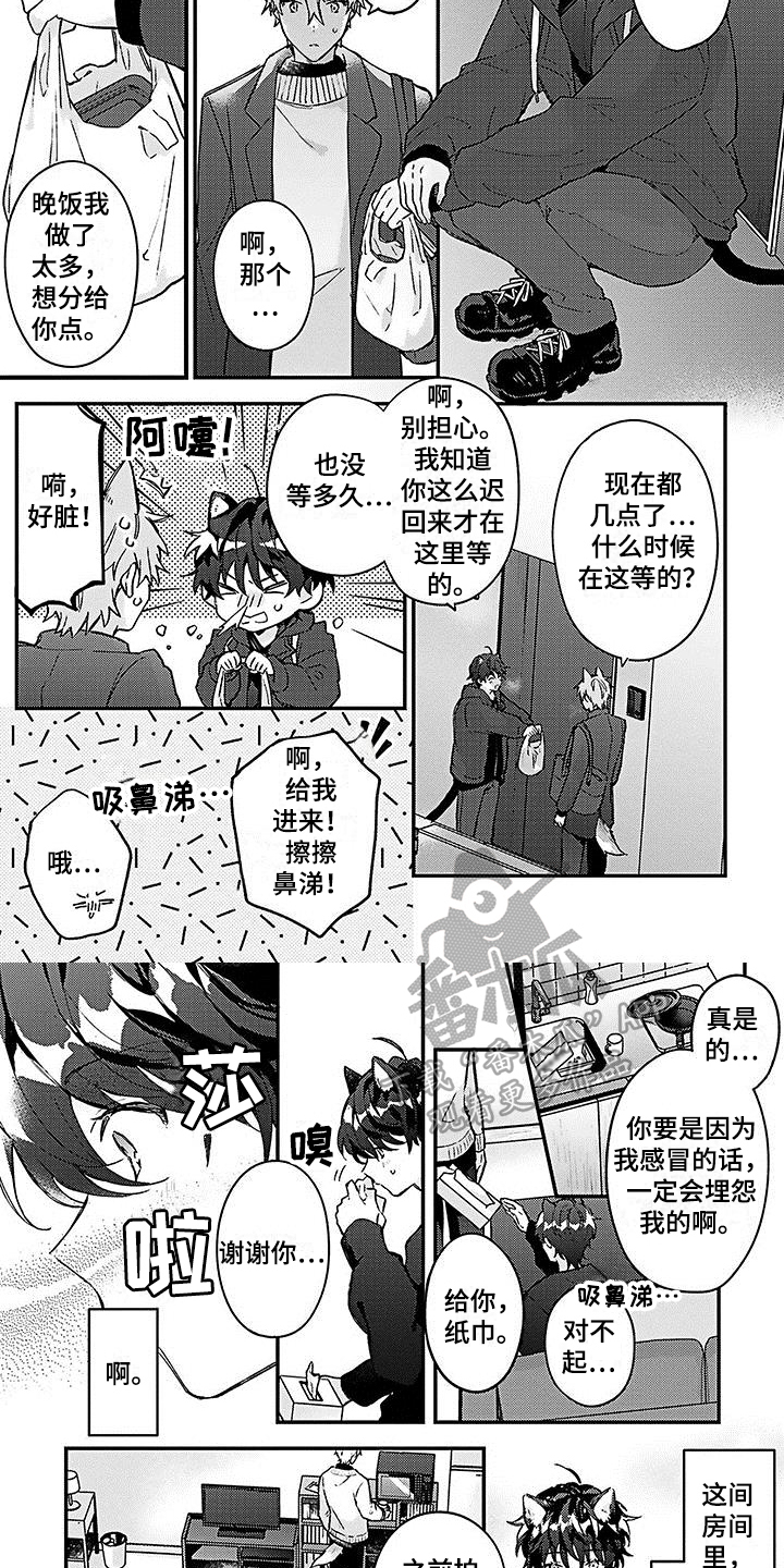 《猫会梦见王子吗》第10章照顾 第4页