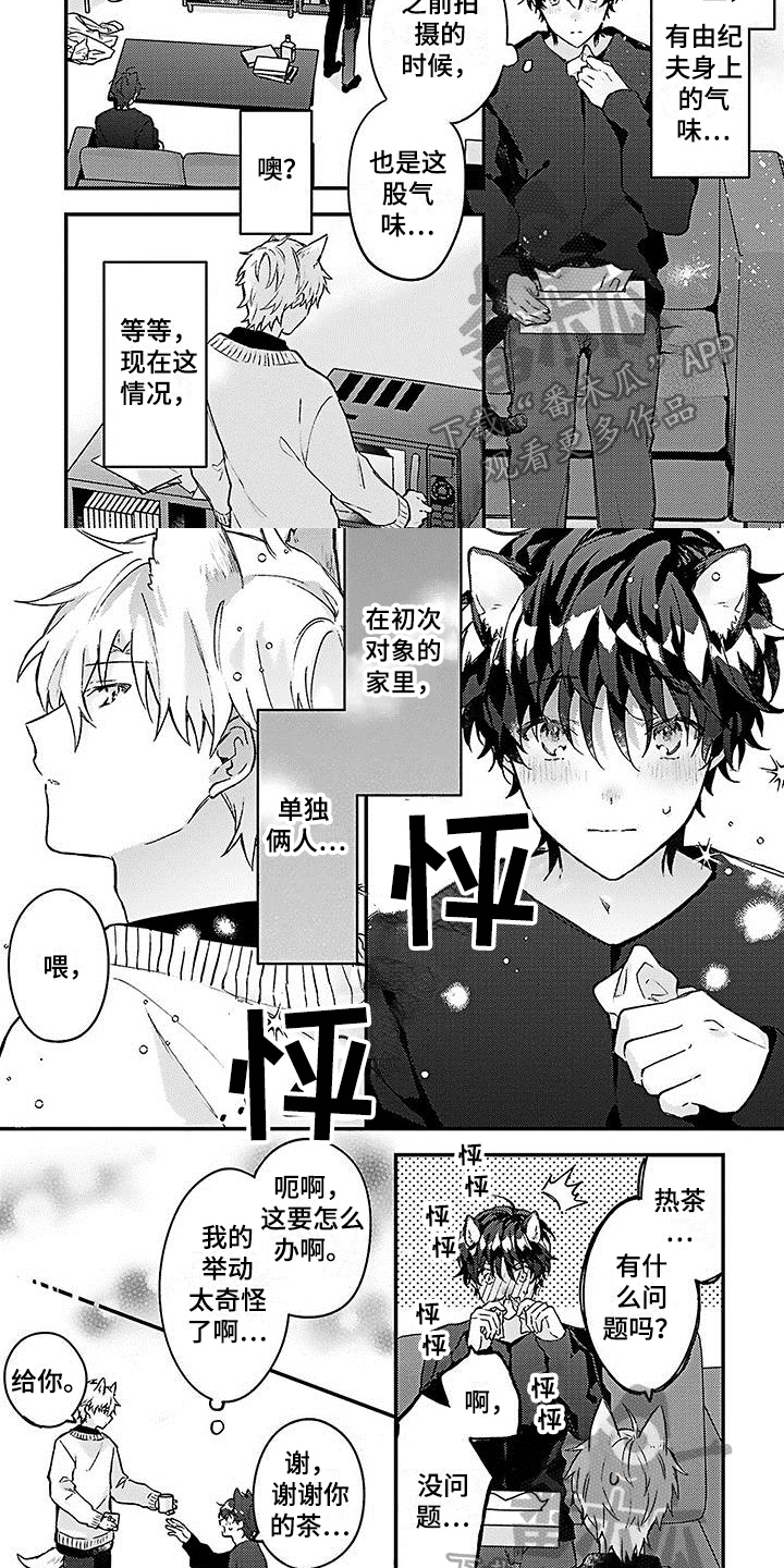 《猫会梦见王子吗》第10章照顾 第5页