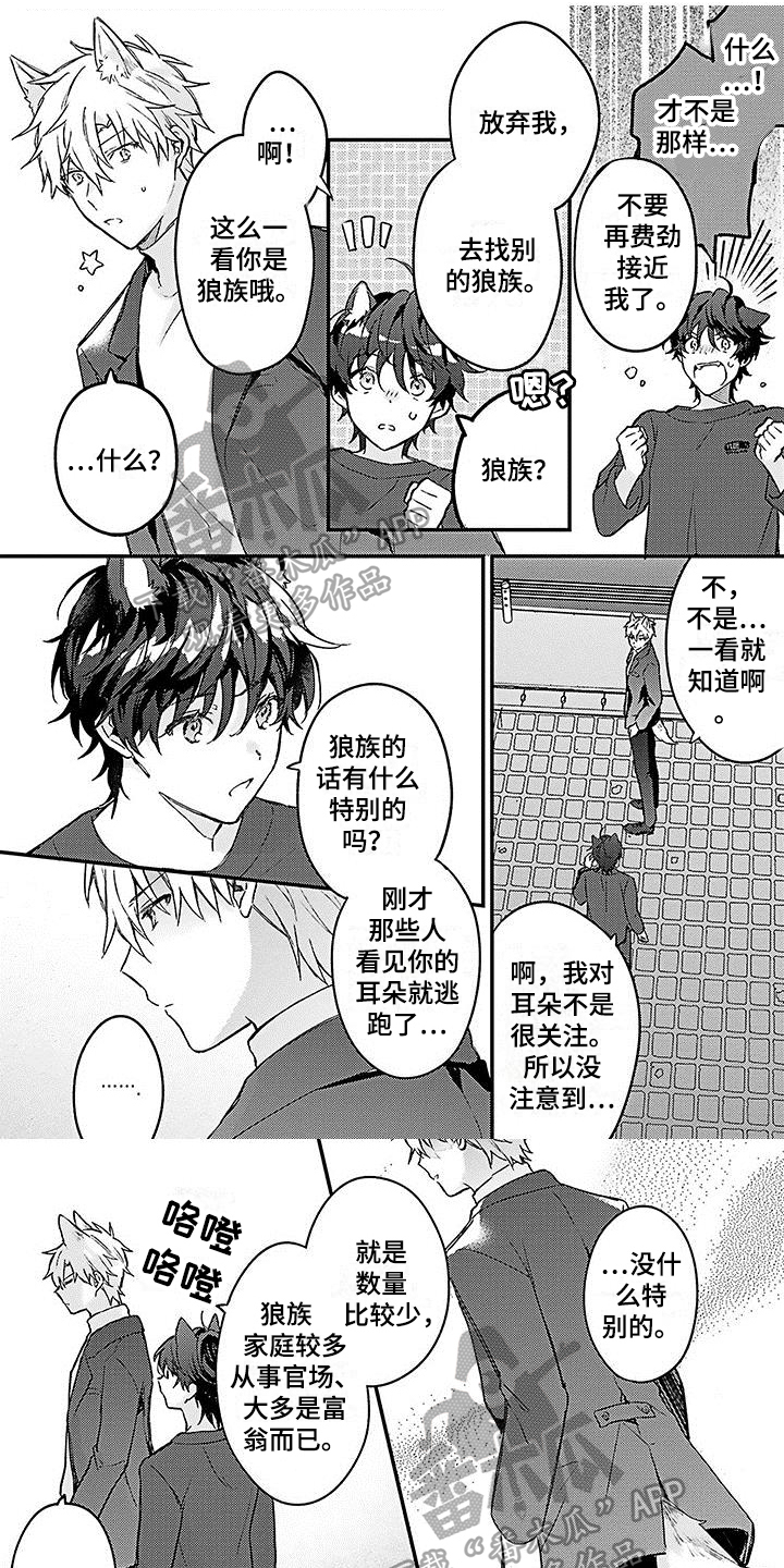 《猫会梦见王子吗》第9章邻居 第1页