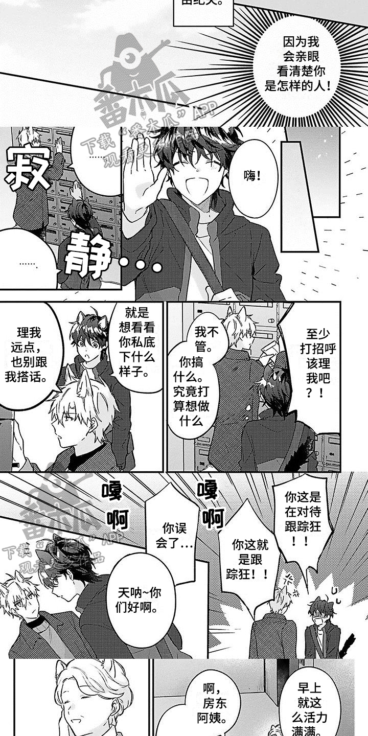 《猫会梦见王子吗》第9章邻居 第3页
