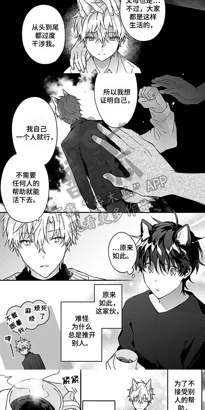《猫会梦见王子吗》第11章心动 第3页