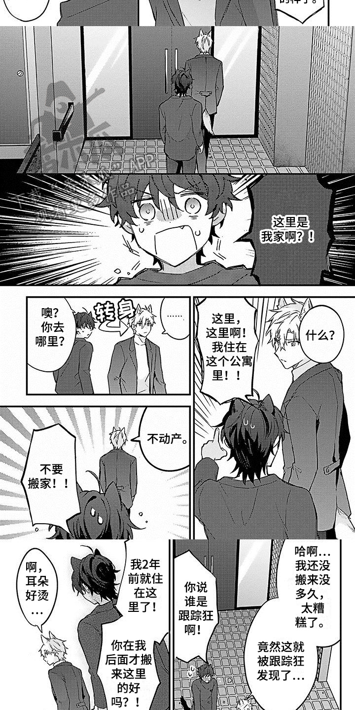 《猫会梦见王子吗》第8章朋友 第5页
