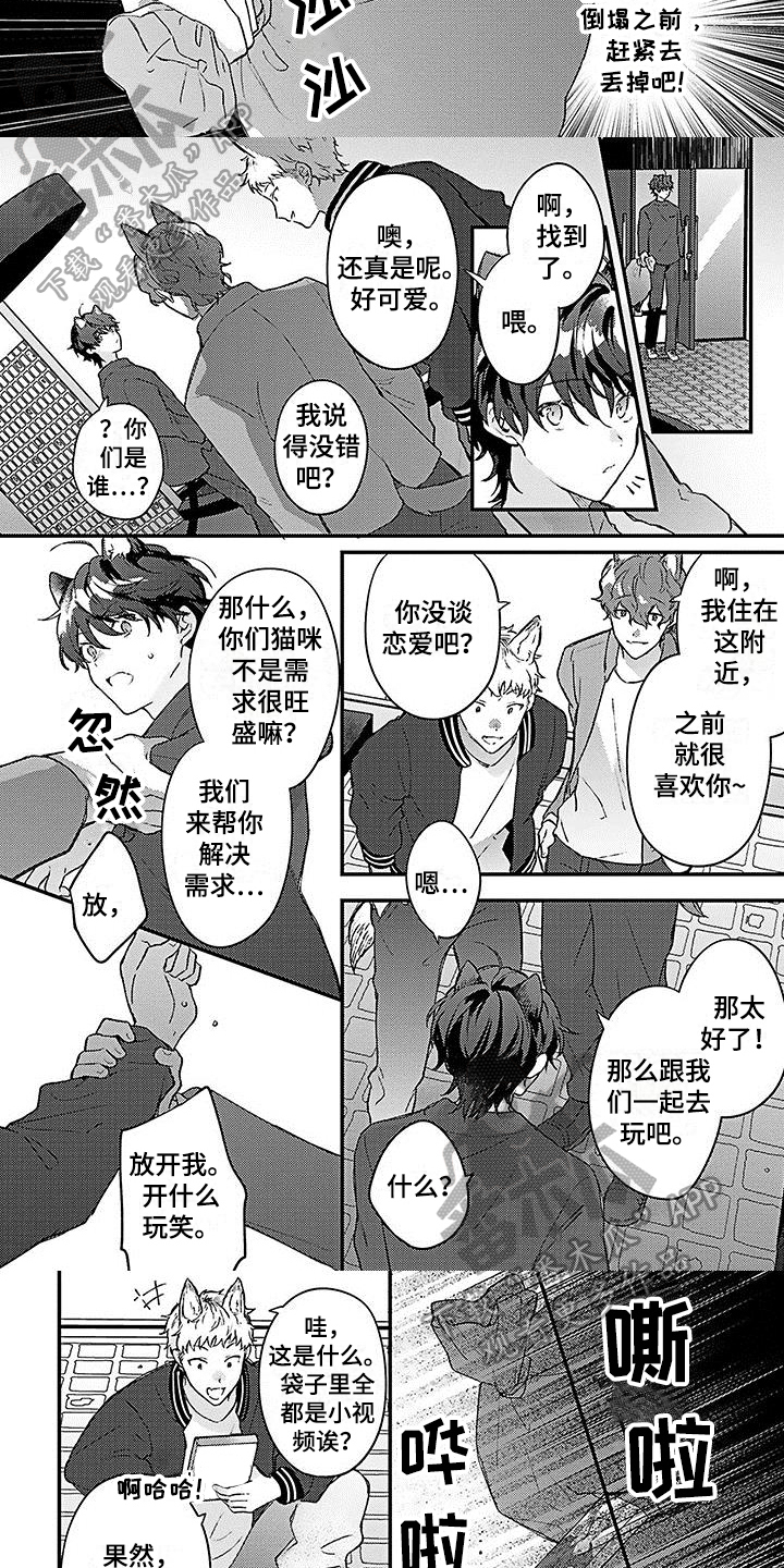 《猫会梦见王子吗》第7章解围 第4页