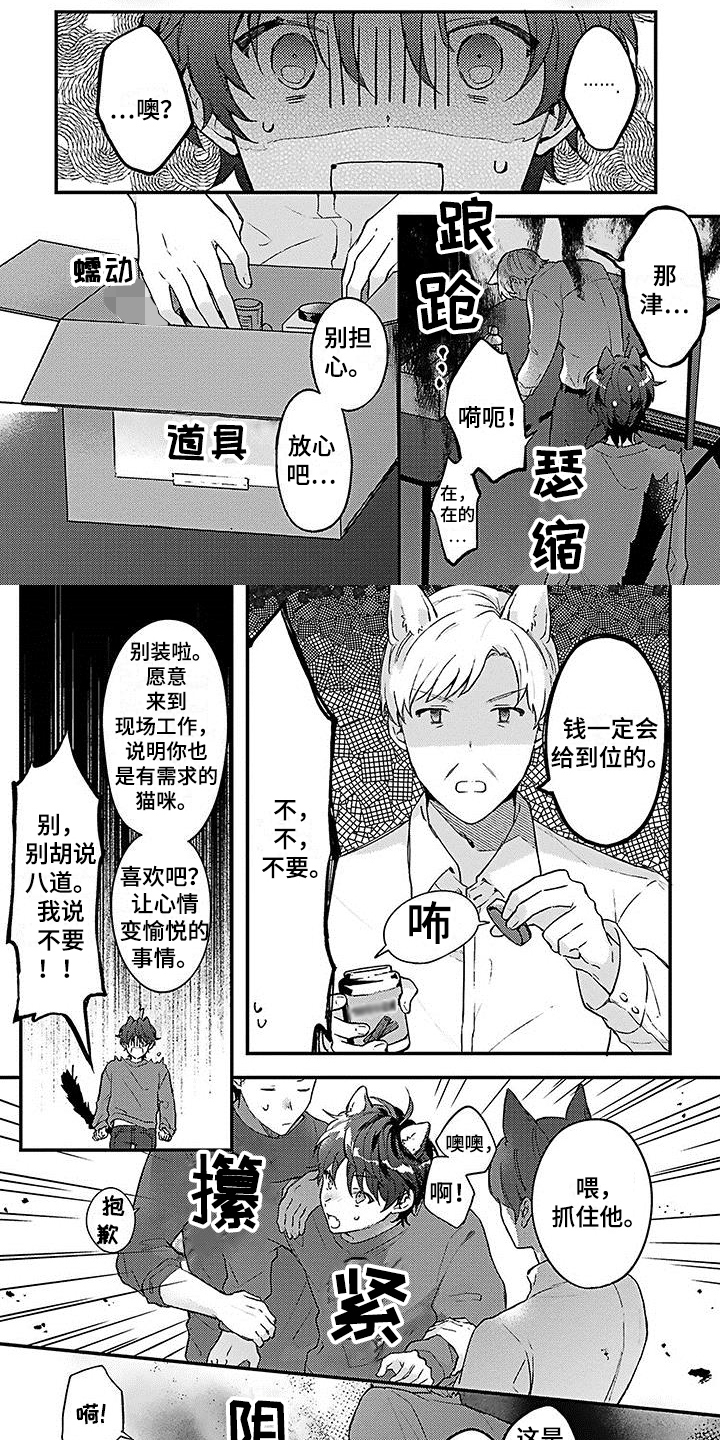 《猫会梦见王子吗》第3章强迫 第1页