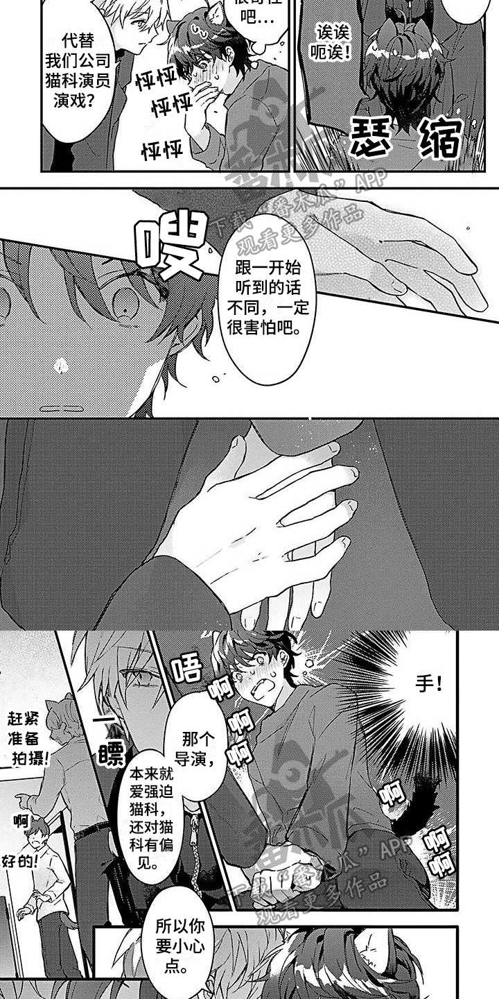 《猫会梦见王子吗》第4章愿意 第2页